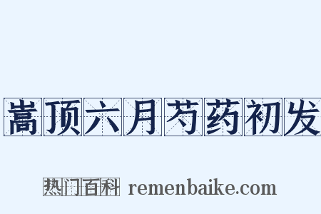 嵩顶六月芍药初发是什么意思的图片